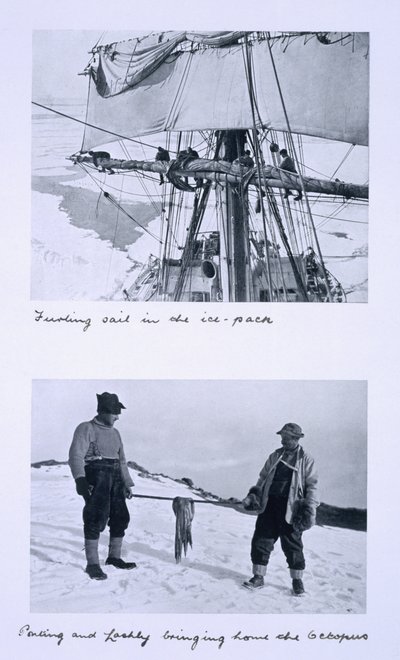 Arriba: Arriando la vela del 